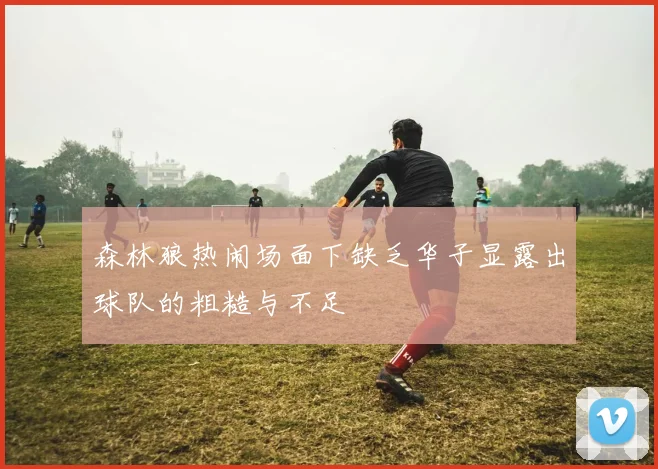 森林狼热闹场面下缺乏华子显露出球队的粗糙与不足